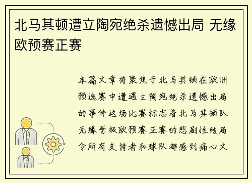 北马其顿遭立陶宛绝杀遗憾出局 无缘欧预赛正赛